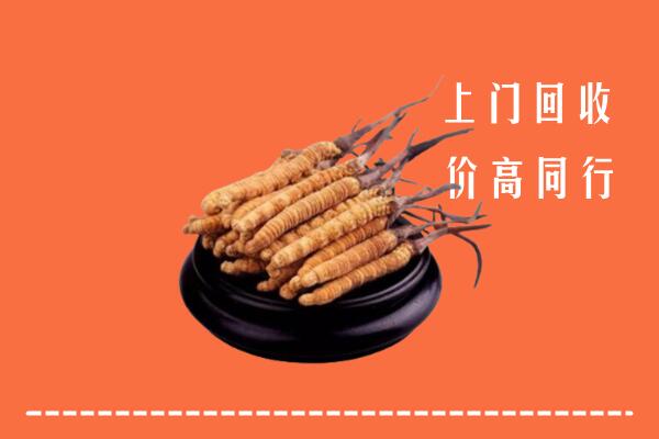 高价求购：鱼峰区回收散虫草