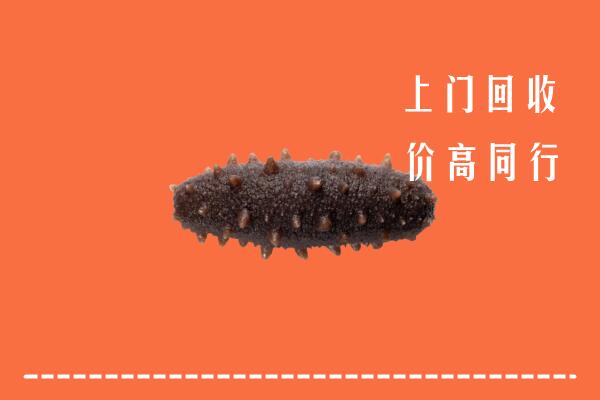 高价求购：鱼峰区回收海参