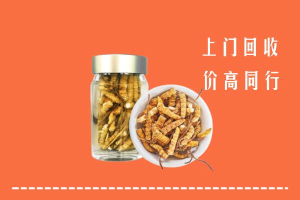 鱼峰区回收冬虫夏草
